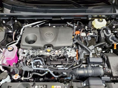 2026 Toyota RAV4 Woodland