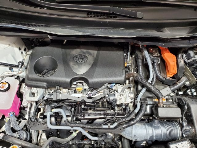 2024 Toyota Sienna XLE 7 Passenger